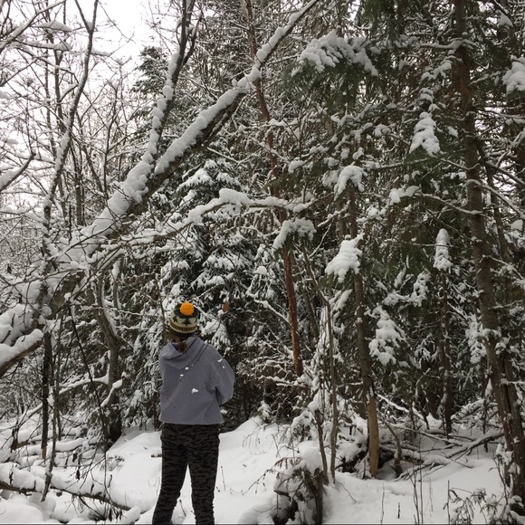 Meet your Posher, Autumn - Picture 1 of 1